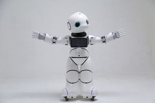 搶錢時機 國家重拳出擊，撥6億推動智能機器人市場研發騰飛